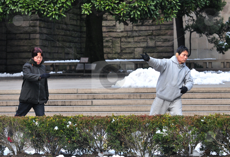 To use this stock image in your creative project, please select the size you need over to the right and click the "Add to Cart" button.
Your downloaded image will come with the Cutcaster watermark removed so don’t worry about the watermark you see on this page. Tai Chi stock photo, Morning Tai Chi at shanghai park by Kobby Dagan
