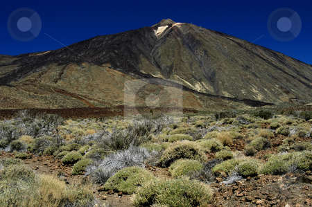To use this stock image in your creative project, please select the size you need over to the right and click the "Add to Cart" button.
Your downloaded image will come with the Cutcaster watermark removed so don’t worry about the watermark you see on this page. Mountain stock photo, Mountain vegetation by Rui Vale de Sousa