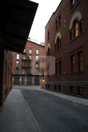 To use this stock image in your creative project, please select the size you need over to the right and click the "Add to Cart" button.
Your downloaded image will come with the Cutcaster watermark removed so don’t worry about the watermark you see on this page. Cobblestone Street stock photo, by Terise Slotkin