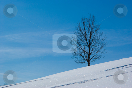 To use this stock image in your creative project, please select the size you need over to the right and click the "Add to Cart" button.
Your downloaded image will come with the Cutcaster watermark removed so don’t worry about the watermark you see on this page. Winterlandschaft - Winter landscape stock photo, Winterlandschaft - Winter landscape by Wolfgang Heidasch