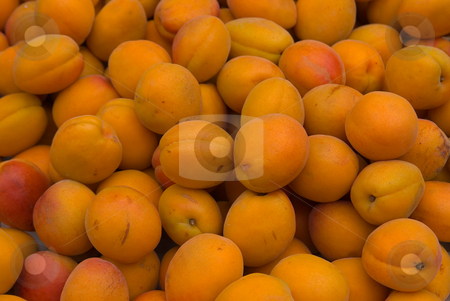 To use this stock image in your creative project, please select the size you need over to the right and click the "Add to Cart" button.
Your downloaded image will come with the Cutcaster watermark removed so don’t worry about the watermark you see on this page. Aprikose (Prunus armeniaca) - Apricot stock photo, Die Aprikose (Prunus armeniaca), in ?sterreich und S?dtirol Marille, geh?rt wie die Pflaume zur Untergattung Prunophora (Prunus im engeren Sinne) der zu den Rosengew?chsen z?hlenden Gattung Prunus. - The Apricot (Prunus armeniaca,