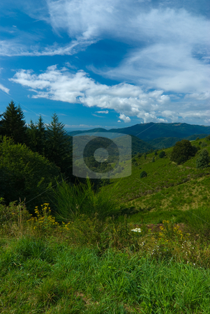 To use this stock image in your creative project, please select the size you need over to the right and click the "Add to Cart" button.
Your downloaded image will come with the Cutcaster watermark removed so don’t worry about the watermark you see on this page. Vogesen Landschaft - Landscape in the Vosges Mountains stock photo, Die Vogesen (frz. les Vosges, dt. fr?her auch Wasgenwald) sind ein Mittelgebirge in Ostfrankreich. - The Vosges or Vosges Mountains are a mountain range in eastern France, stretching along the west side of the Rhine valley in a north-north-east direction, from Belfort to Saverne. by Wolfgang Heidasch