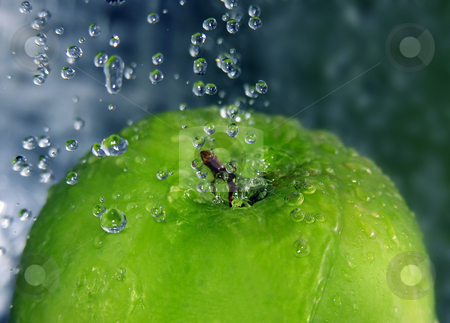 To use this stock image in your creative project, please select the size you need over to the right and click the "Add to Cart" button.
Your downloaded image will come with the Cutcaster watermark removed so don’t worry about the watermark you see on this page. Refreshing apple stock photo, Water drops falling onto a green apple by Kirsty Pargeter