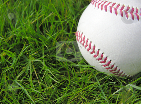 To use this stock image in your creative project, please select the size you need over to the right and click the "Add to Cart" button.
Your downloaded image will come with the Cutcaster watermark removed so don’t worry about the watermark you see on this page. Baseball in Grass stock photo, by Kirsty Pargeter