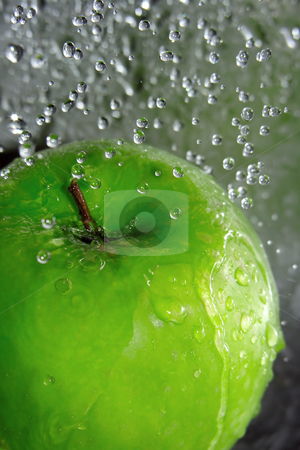 To use this stock image in your creative project, please select the size you need over to the right and click the "Add to Cart" button.
Your downloaded image will come with the Cutcaster watermark removed so don’t worry about the watermark you see on this page. Apple splash stock photo, Water drops falling onto a green apple by Kirsty Pargeter