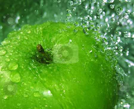 To use this stock image in your creative project, please select the size you need over to the right and click the "Add to Cart" button.
Your downloaded image will come with the Cutcaster watermark removed so don’t worry about the watermark you see on this page. Apple in water stock photo, by Kirsty Pargeter