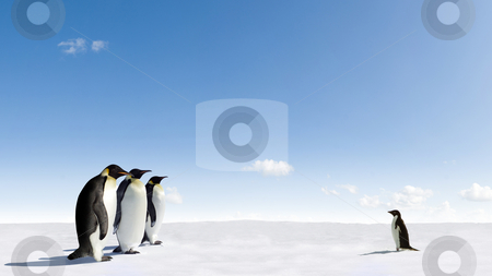 To use this stock image in your creative project, please select the size you need over to the right and click the "Add to Cart" button.
Your downloaded image will come with the Cutcaster watermark removed so don’t worry about the watermark you see on this page. Emperor Penguins meeting Adelie Penguin stock photo, Emperor Penguins meeting Adelie Penguin in Antarctica by Jan Martin Will