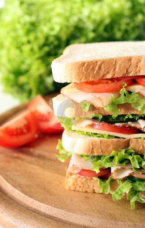 To use this stock image in your creative project, please select the size you need over to the right and click the "Add to Cart" button.
Your downloaded image will come with the Cutcaster watermark removed so don’t worry about the watermark you see on this page. Sandwich stock photo, Huge Sandwich by Jan Martin Will