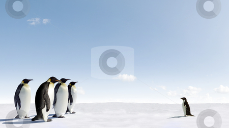 To use this stock image in your creative project, please select the size you need over to the right and click the "Add to Cart" button.
Your downloaded image will come with the Cutcaster watermark removed so don’t worry about the watermark you see on this page. Courage stock photo, Adelie penguins faces a group of Emperor penguins by Jan Martin Will