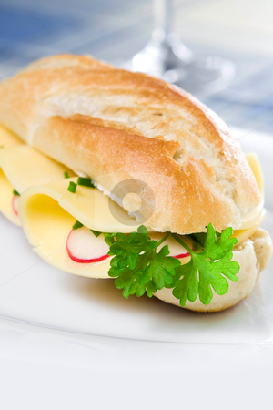 To use this stock image in your creative project, please select the size you need over to the right and click the "Add to Cart" button.
Your downloaded image will come with the Cutcaster watermark removed so don’t worry about the watermark you see on this page. Sandwich stock photo, Sandwich on a plate by Jan Martin Will