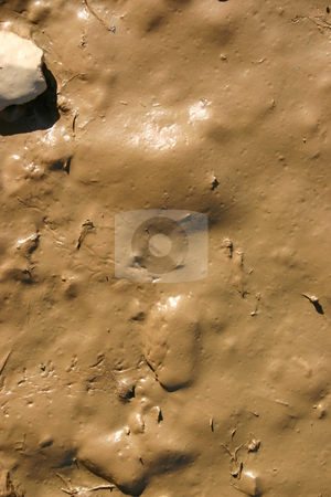 To use this stock image in your creative project, please select the size you need over to the right and click the "Add to Cart" button.
Your downloaded image will come with the Cutcaster watermark removed so don’t worry about the watermark you see on this page. Wet mud stock photo, Wet mud by Stephen Rees