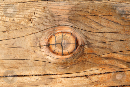 To use this stock image in your creative project, please select the size you need over to the right and click the "Add to Cart" button.
Your downloaded image will come with the Cutcaster watermark removed so don’t worry about the watermark you see on this page. A wood knot in a wooden beam. Looks like a wooden eye. stock photo, A wood knot in a wooden beam. Looks like a wooden eye. by Stephen Rees