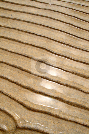 To use this stock image in your creative project, please select the size you need over to the right and click the "Add to Cart" button.
Your downloaded image will come with the Cutcaster watermark removed so don’t worry about the watermark you see on this page. Beach sand ripples. stock photo, Beach sand ripples. by Stephen Rees