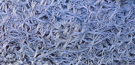 To use this stock image in your creative project, please select the size you need over to the right and click the "Add to Cart" button.
Your downloaded image will come with the Cutcaster watermark removed so don’t worry about the watermark you see on this page. Ice crystals stock photo, Beautiful ice crystals on a window in winter by Wolfgang Zintl