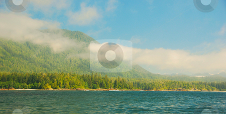 To use this stock image in your creative project, please select the size you need over to the right and click the "Add to Cart" button.
Your downloaded image will come with the Cutcaster watermark removed so don’t worry about the watermark you see on this page. Morning fog stock photo, Fog and clouds in the morning over the forest by Wolfgang Zintl