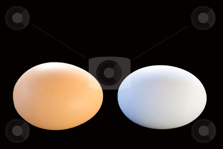To use this stock image in your creative project, please select the size you need over to the right and click the "Add to Cart" button.
Your downloaded image will come with the Cutcaster watermark removed so don’t worry about the watermark you see on this page. Two eggs stock photo, One brown egg and one white egg on a black background by Wolfgang Zintl