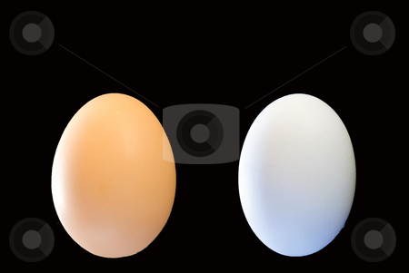 To use this stock image in your creative project, please select the size you need over to the right and click the "Add to Cart" button.
Your downloaded image will come with the Cutcaster watermark removed so don’t worry about the watermark you see on this page. Two eggs stock photo, One brown egg and one white egg on a black background by Wolfgang Zintl