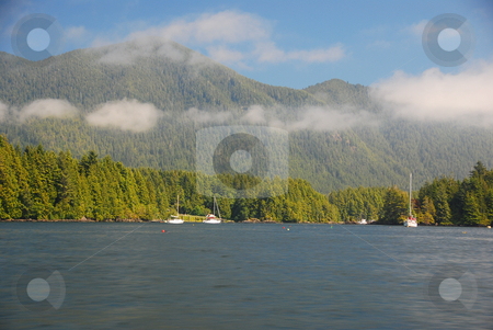 To use this stock image in your creative project, please select the size you need over to the right and click the "Add to Cart" button.
Your downloaded image will come with the Cutcaster watermark removed so don’t worry about the watermark you see on this page. Vancouver island stock photo, Clouds on vancouver island by Wolfgang Zintl