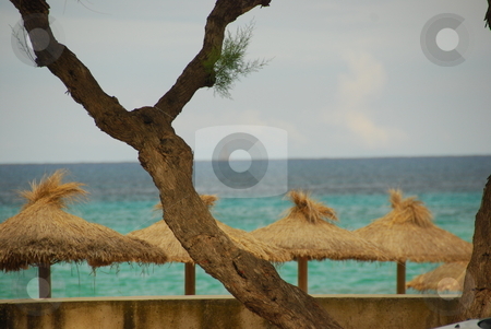 To use this stock image in your creative project, please select the size you need over to the right and click the "Add to Cart" button.
Your downloaded image will come with the Cutcaster watermark removed so don’t worry about the watermark you see on this page. Mallorca stock photo, Beach on the island mallorca by Wolfgang Zintl