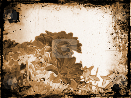 To use this stock image in your creative project, please select the size you need over to the right and click the "Add to Cart" button.
Your downloaded image will come with the Cutcaster watermark removed so don’t worry about the watermark you see on this page. Floral grunge stock photo, Floral grunge background by Kirsty Pargeter