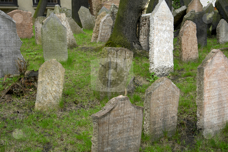 To use this stock image in your creative project, please select the size you need over to the right and click the "Add to Cart" button.
Your downloaded image will come with the Cutcaster watermark removed so don’t worry about the watermark you see on this page. Cemetery stock photo, Old Jewish cemetery in prague old town by Rui Vale de Sousa