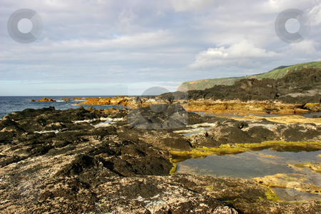 To use this stock image in your creative project, please select the size you need over to the right and click the "Add to Cart" button.
Your downloaded image will come with the Cutcaster watermark removed so don’t worry about the watermark you see on this page. Coastal stock photo, Coastal rock view, azores island by Rui Vale de Sousa