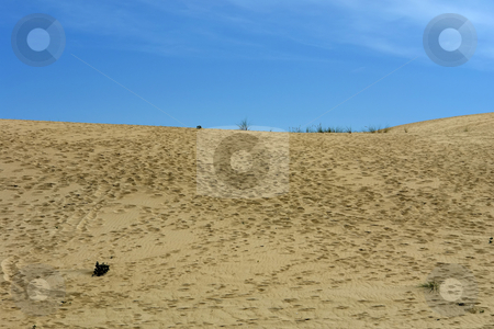 To use this stock image in your creative project, please select the size you need over to the right and click the "Add to Cart" button.
Your downloaded image will come with the Cutcaster watermark removed so don’t worry about the watermark you see on this page. Sand stock photo, Desert sand and the sky in the north of spain by Rui Vale de Sousa