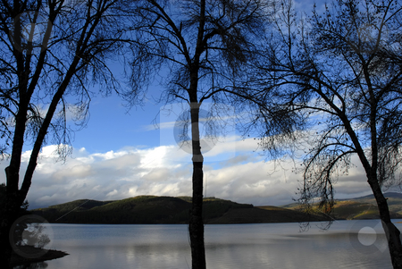 To use this stock image in your creative project, please select the size you need over to the right and click the "Add to Cart" button.
Your downloaded image will come with the Cutcaster watermark removed so don’t worry about the watermark you see on this page. Trees stock photo, Trees in silhouette at the blue lake by Rui Vale de Sousa