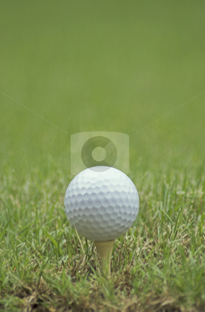 To use this stock image in your creative project, please select the size you need over to the right and click the "Add to Cart" button.
Your downloaded image will come with the Cutcaster watermark removed so don’t worry about the watermark you see on this page. Golf ball and tee stock photo, A golf ball sits on a tee ready to be hit by Matt Baker