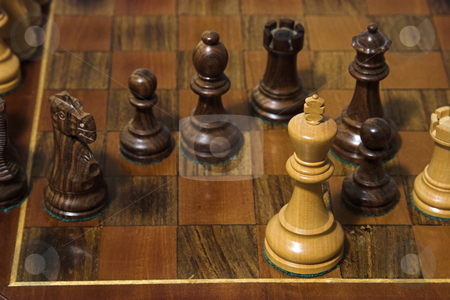 To use this stock image in your creative project, please select the size you need over to the right and click the "Add to Cart" button.
Your downloaded image will come with the Cutcaster watermark removed so don’t worry about the watermark you see on this page. Check Mate stock photo, The king is checked mated in a game of chess by Matt Baker