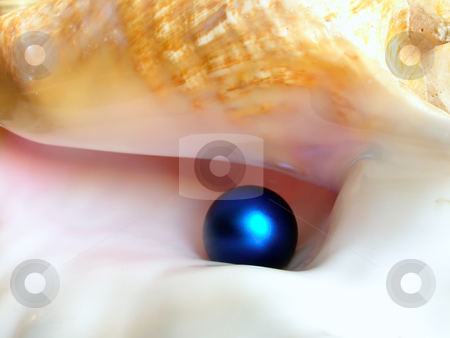 To use this stock image in your creative project, please select the size you need over to the right and click the "Add to Cart" button.
Your downloaded image will come with the Cutcaster watermark removed so don’t worry about the watermark you see on this page. Blue pearl stock photo, Blue perl inside seashell by Sergej Razvodovskij