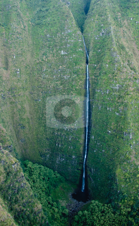 To use this stock image in your creative project, please select the size you need over to the right and click the "Add to Cart" button.
Your downloaded image will come with the Cutcaster watermark removed so don’t worry about the watermark you see on this page. Waterfall in the mountains of Kauai stock photo, Waterfall streaming down the rock face of Mt Waialeale in Kauai by Steven Heap