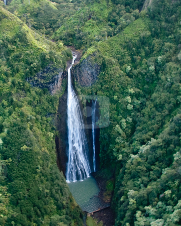 To use this stock image in your creative project, please select the size you need over to the right and click the "Add to Cart" button.
Your downloaded image will come with the Cutcaster watermark removed so don’t worry about the watermark you see on this page. Aerial view of waterfall in mountains of Kauai stock photo, Waterfall from the air over Kauai by Steven Heap