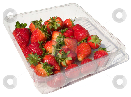 To use this stock image in your creative project, please select the size you need over to the right and click the "Add to Cart" button.
Your downloaded image will come with the Cutcaster watermark removed so don’t worry about the watermark you see on this page. A punnet of fresh strawberries isolated on white. stock photo, A punnet of fresh strawberries isolated on white. by Stephen Rees