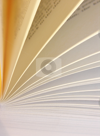 To use this stock image in your creative project, please select the size you need over to the right and click the "Add to Cart" button.
Your downloaded image will come with the Cutcaster watermark removed so don’t worry about the watermark you see on this page. Book pages close up stock photo, by Kirsty Pargeter