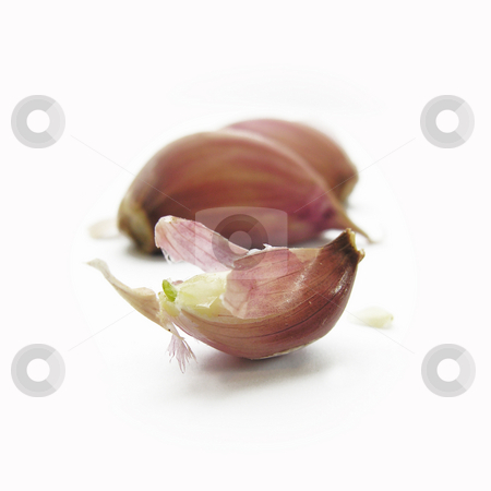 To use this stock image in your creative project, please select the size you need over to the right and click the "Add to Cart" button.
Your downloaded image will come with the Cutcaster watermark removed so don’t worry about the watermark you see on this page. Garlic Clove stock photo, by Kirsty Pargeter