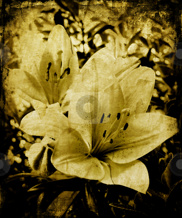 To use this stock image in your creative project, please select the size you need over to the right and click the "Add to Cart" button.
Your downloaded image will come with the Cutcaster watermark removed so don’t worry about the watermark you see on this page. Grunge background stock photo, Grunge background by Kirsty Pargeter