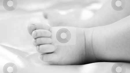 To use this stock image in your creative project, please select the size you need over to the right and click the "Add to Cart" button.
Your downloaded image will come with the Cutcaster watermark removed so don’t worry about the watermark you see on this page. Babies foot stock photo, Close up of a babies foot by Kirsty Pargeter