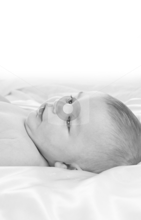To use this stock image in your creative project, please select the size you need over to the right and click the "Add to Cart" button.
Your downloaded image will come with the Cutcaster watermark removed so don’t worry about the watermark you see on this page. Baby boy stock photo, Close up shot of cute baby boy by Kirsty Pargeter