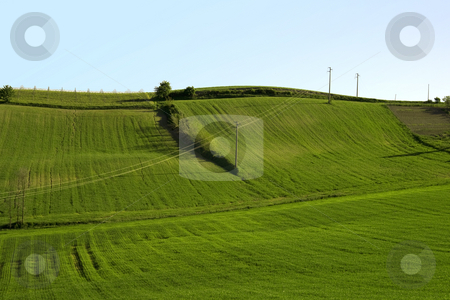 To use this stock image in your creative project, please select the size you need over to the right and click the "Add to Cart" button.
Your downloaded image will come with the Cutcaster watermark removed so don’t worry about the watermark you see on this page. Field stock photo, A green grass field with blue sky by Fabio Alcini