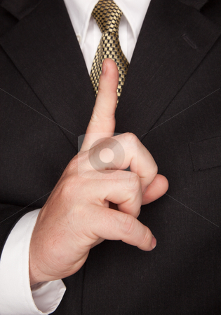 To use this stock image in your creative project, please select the size you need over to the right and click the "Add to Cart" button.
Your downloaded image will come with the Cutcaster watermark removed so don’t worry about the watermark you see on this page. Businessman Gesturing with Hand stock photo, Businessman with Coat and Tie Gesturing with Hand. by Andy Dean