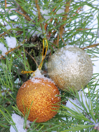 To use this stock image in your creative project, please select the size you need over to the right and click the "Add to Cart" button.
Your downloaded image will come with the Cutcaster watermark removed so don’t worry about the watermark you see on this page. Christmas balls stock photo, Two decoration balls on the christmas tree outdoor by Sergej Razvodovskij