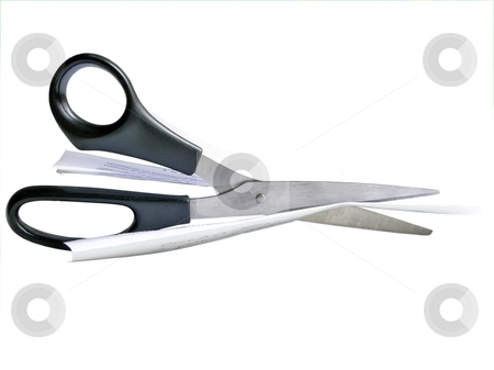 To use this stock image in your creative project, please select the size you need over to the right and click the "Add to Cart" button.
Your downloaded image will come with the Cutcaster watermark removed so don’t worry about the watermark you see on this page. Cutting paper stock photo, Scissors cutting piece of paper by Sergej Razvodovskij