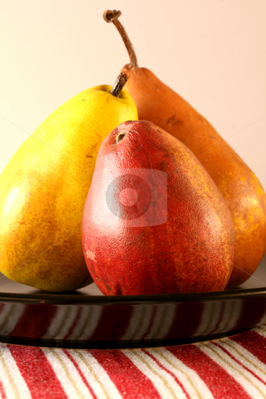 To use this stock image in your creative project, please select the size you need over to the right and click the "Add to Cart" button.
Your downloaded image will come with the Cutcaster watermark removed so don’t worry about the watermark you see on this page. Pears Still Life stock photo, Three golden/orange pears leaning towards the middle by Linda Schhirmbeck