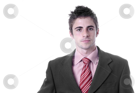 To use this stock image in your creative project, please select the size you need over to the right and click the "Add to Cart" button.
Your downloaded image will come with the Cutcaster watermark removed so don’t worry about the watermark you see on this page. Business man stock photo, Young business man portrait in white background by Rui Vale de Sousa