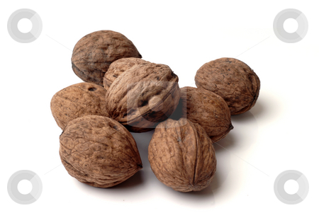 To use this stock image in your creative project, please select the size you need over to the right and click the "Add to Cart" button.
Your downloaded image will come with the Cutcaster watermark removed so don’t worry about the watermark you see on this page. Nuts stock photo, A few Walnuts isolated on a white background. by Rui Vale de Sousa