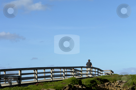 To use this stock image in your creative project, please select the size you need over to the right and click the "Add to Cart" button.
Your downloaded image will come with the Cutcaster watermark removed so don’t worry about the watermark you see on this page. Walking stock photo, Man walking in the wood path at the coast by Rui Vale de Sousa