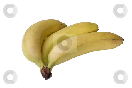 To use this stock image in your creative project, please select the size you need over to the right and click the "Add to Cart" button.
Your downloaded image will come with the Cutcaster watermark removed so don’t worry about the watermark you see on this page. Bananas stock photo, Bunch of bananas isolated on white background by Rui Vale de Sousa
