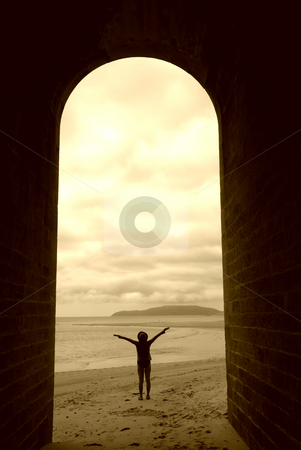 To use this stock image in your creative project, please select the size you need over to the right and click the "Add to Cart" button.
Your downloaded image will come with the Cutcaster watermark removed so don’t worry about the watermark you see on this page. Adore stock photo, Woman in silhouette with arms wide open at the beach by Rui Vale de Sousa