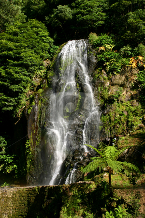 To use this stock image in your creative project, please select the size you need over to the right and click the "Add to Cart" button.
Your downloaded image will come with the Cutcaster watermark removed so don’t worry about the watermark you see on this page. Waterfall stock photo, Big waterfall among green plants in azores, portugal by Rui Vale de Sousa